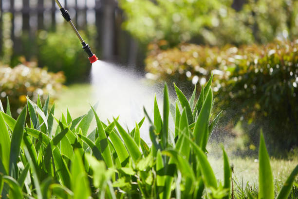 24/7 Emergency Mosquito Control experts in Concordia, NJ